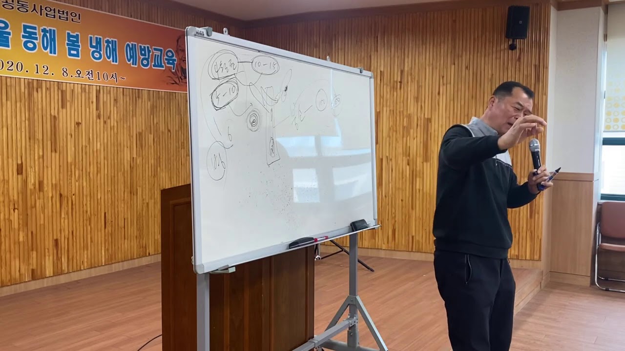 무안 에서 단감기본을