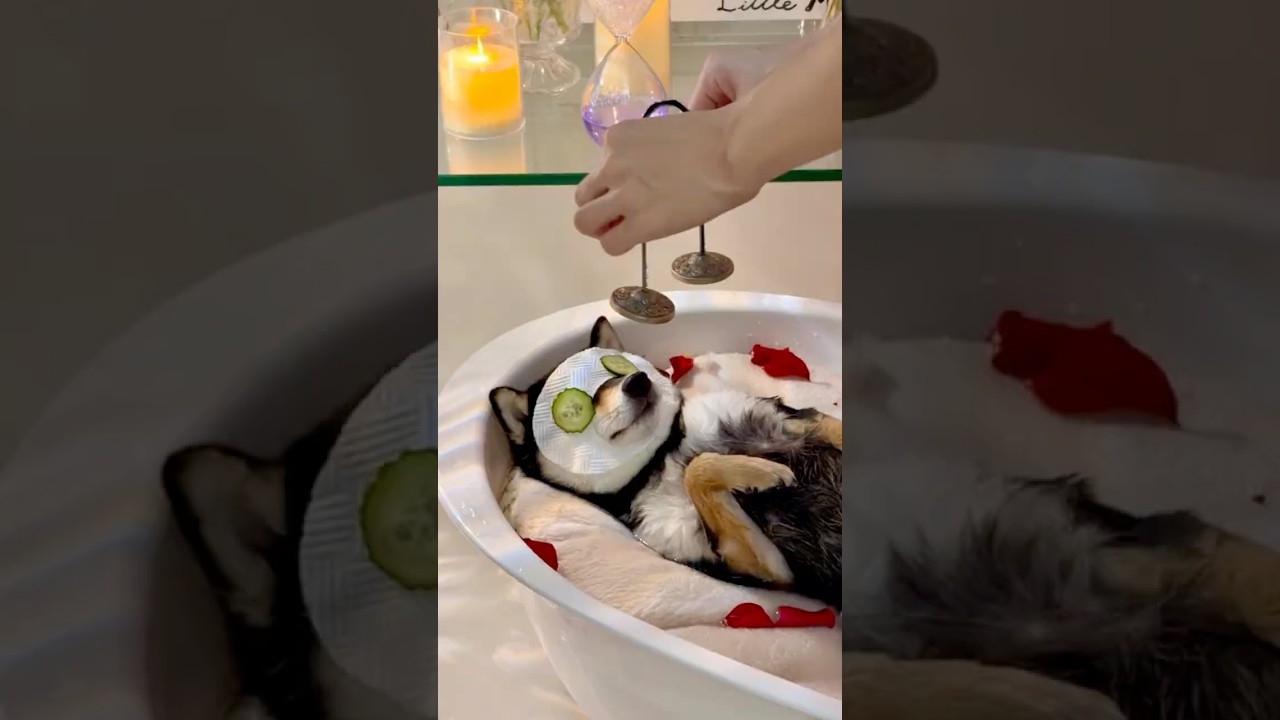 ASMR | Manyu&rsquo;s Immersive Spa Care & Bath Time