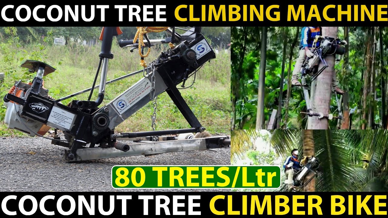 Coconut Climber | Coconut Tree Climbing Machine/Bike | Coconut Cleaning/Harvesting Machine