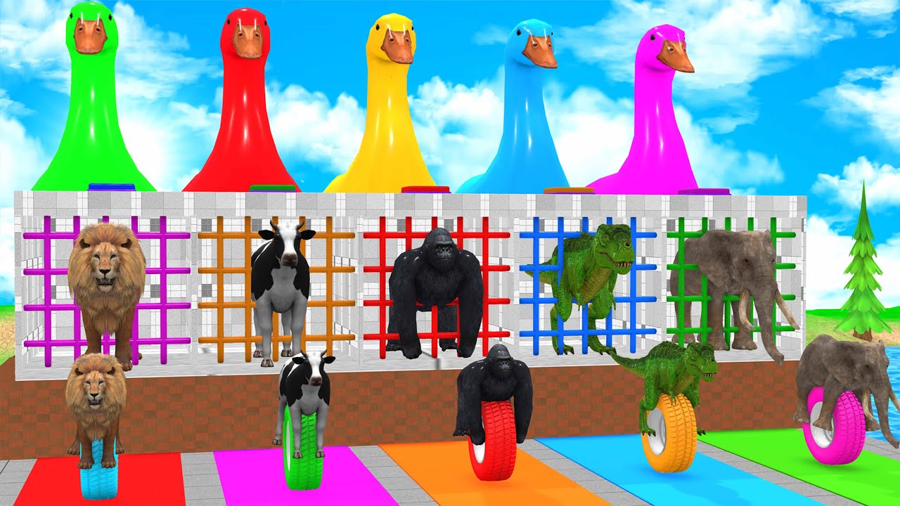 Long Slide Game With Cow Elephant Gorilla Hippopotamus Tiger 3d Animal Game Funny 3d Animals