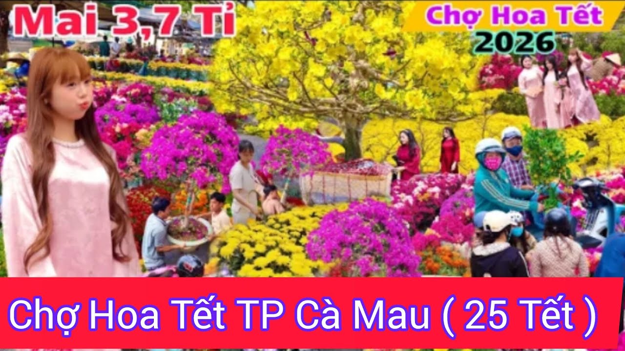 Đại Phát TV 42 | 🔴 Trực Tiếp: Tham Quan Một Vòng Các Chợ Hoa Tết TP Cà Mau Bà Con Rất Đông 2026
