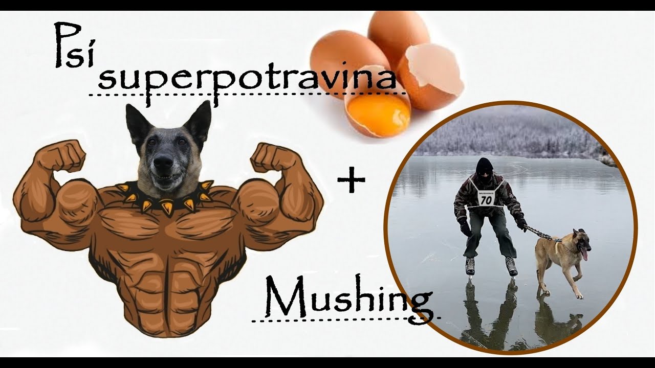Superpotravina