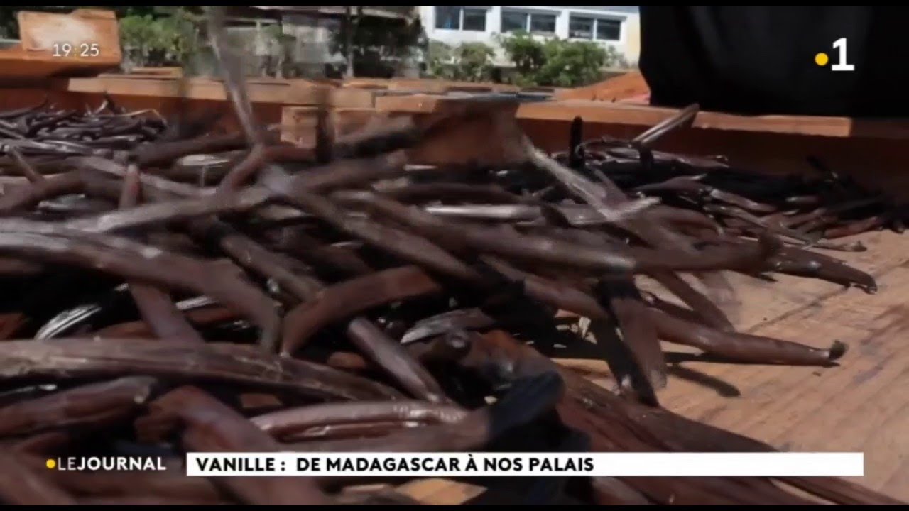 Vanille : de Madagascar à nos palais