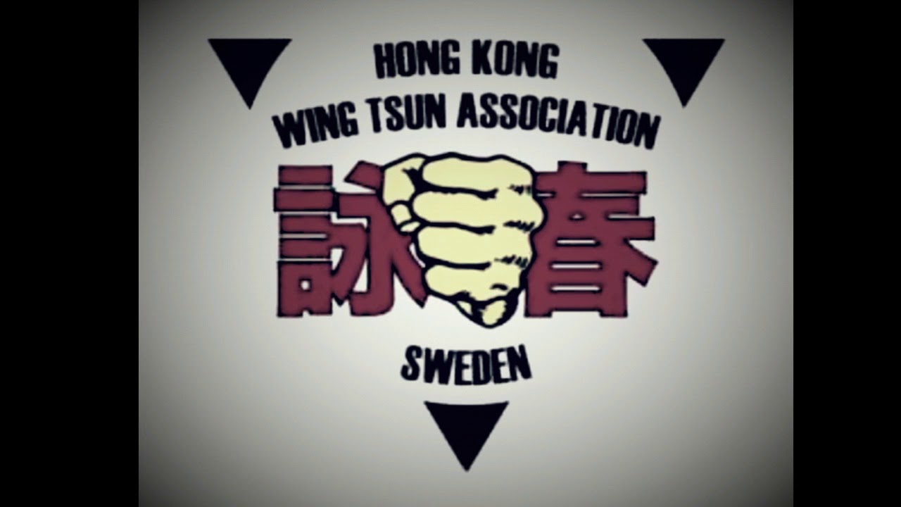 Wing tsun art beautiful in motion