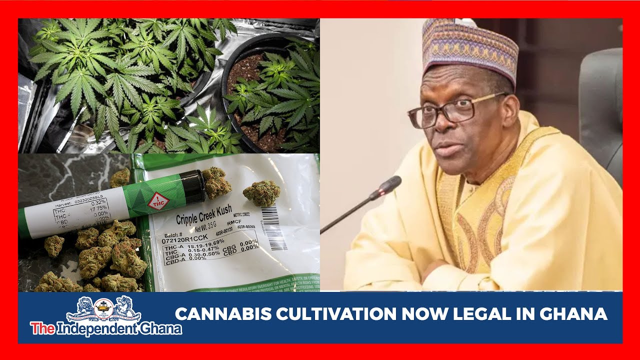 Cannabis cultivation now legal in Ghana