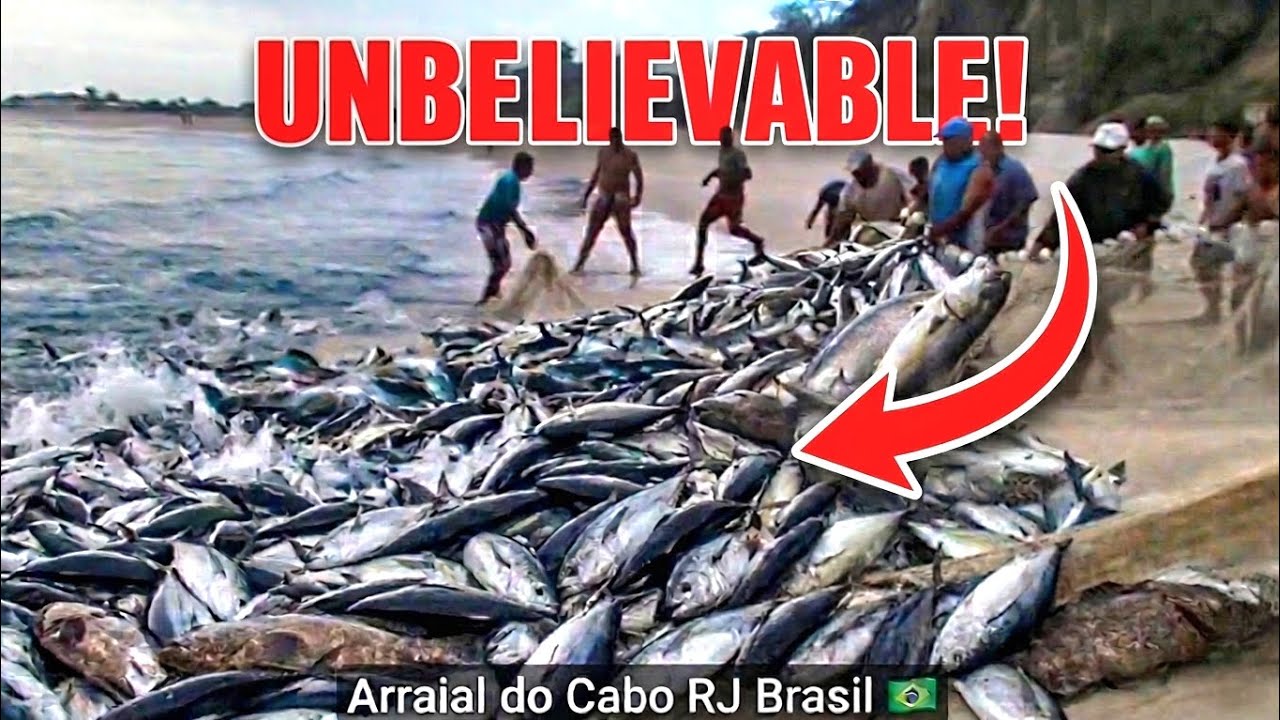 HUGE CATCH! Fartura de Bonito na Praia Grande em Arraial do Cabo RJ Brasil 🇧🇷​ 