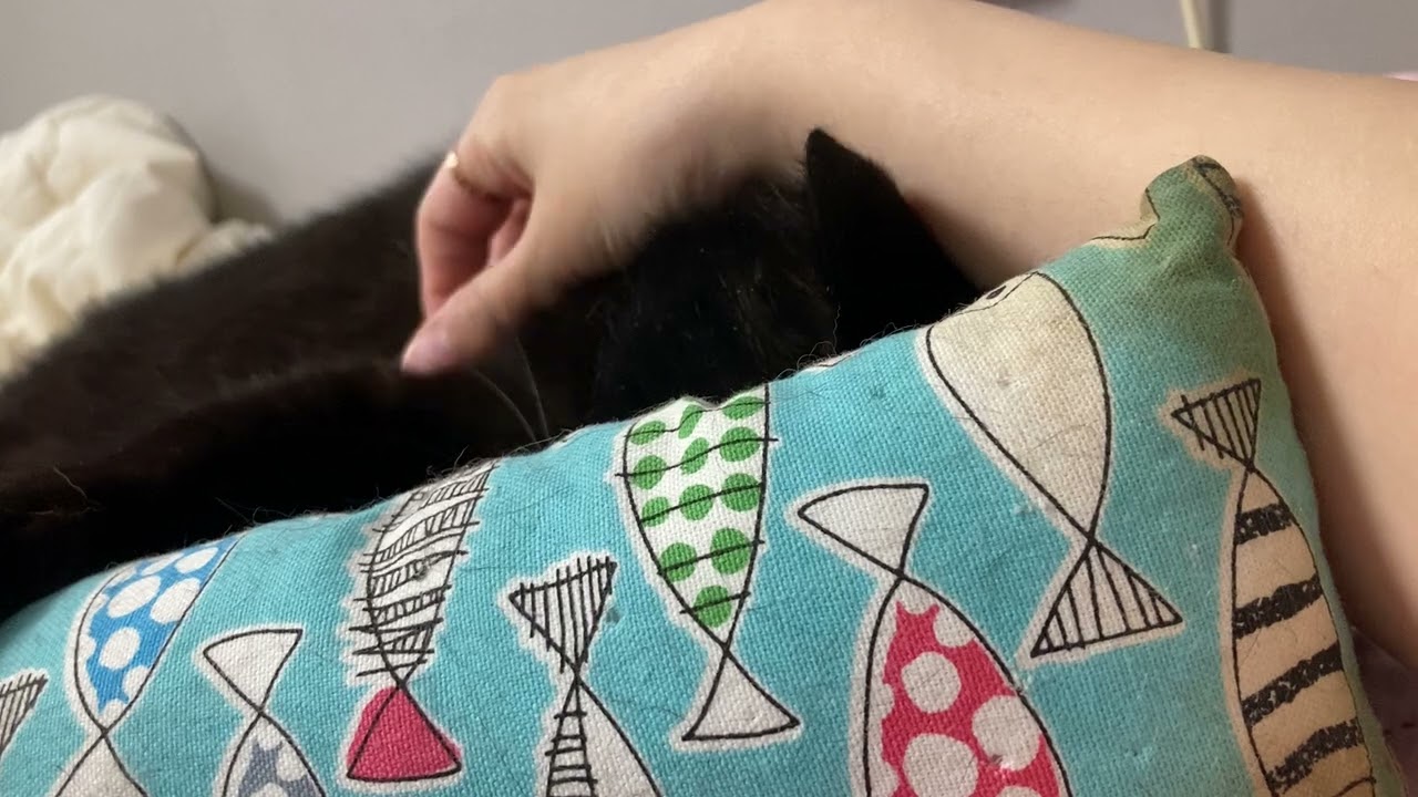 보들보들 인형 깜고