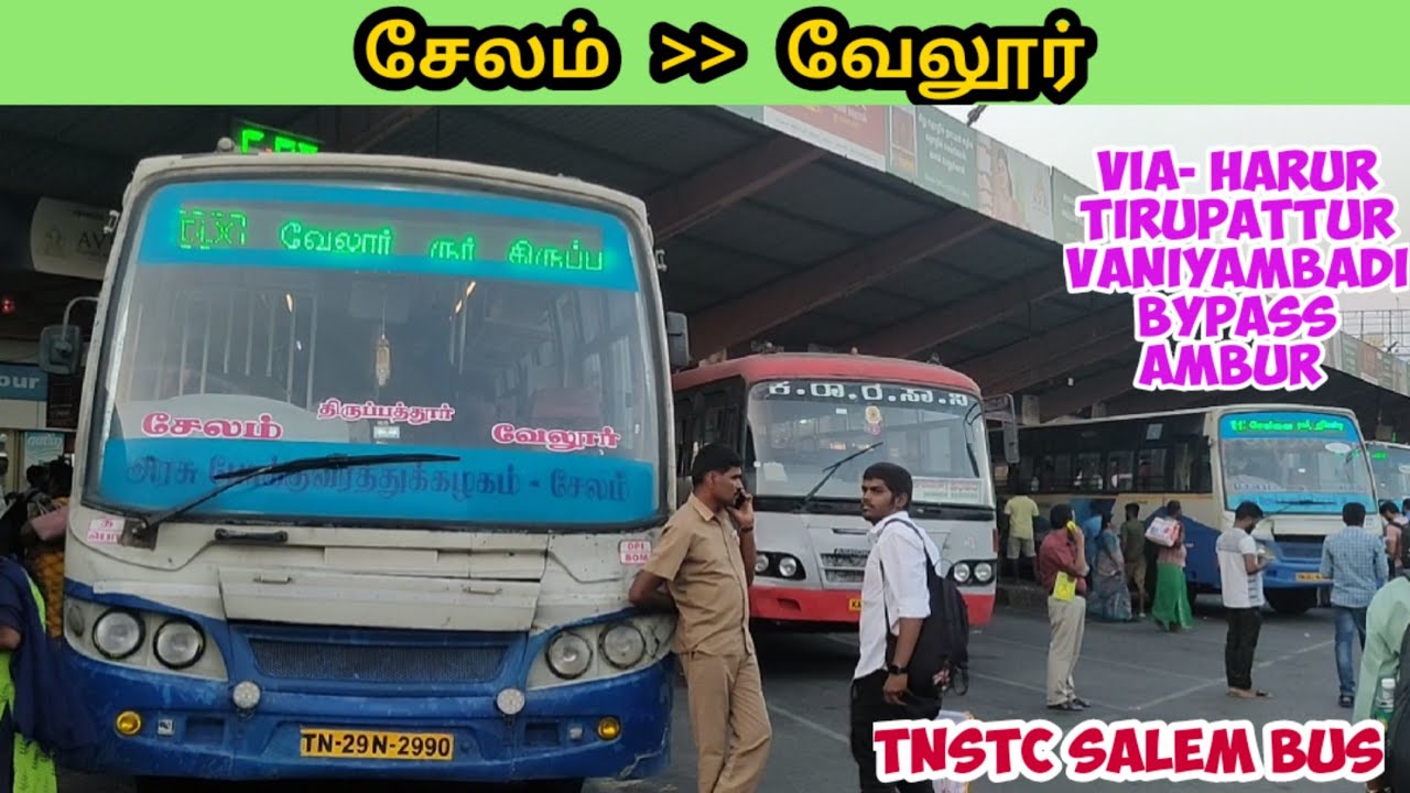 Salem to Vellore TNSTC Bus Travel  | சேலம் to வேலூர் Cabin Ride #tnstc #bus #vellore #salem