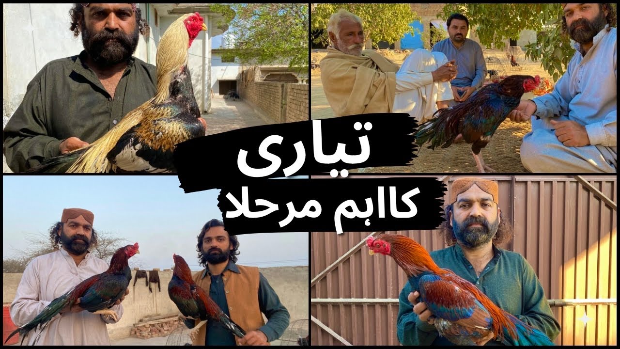 Tiyari Ka Wo Step Jis Sey Kamyabi Ap Key Qadam Chomay Gi // Julab Karny Ka Sahi Tariqa