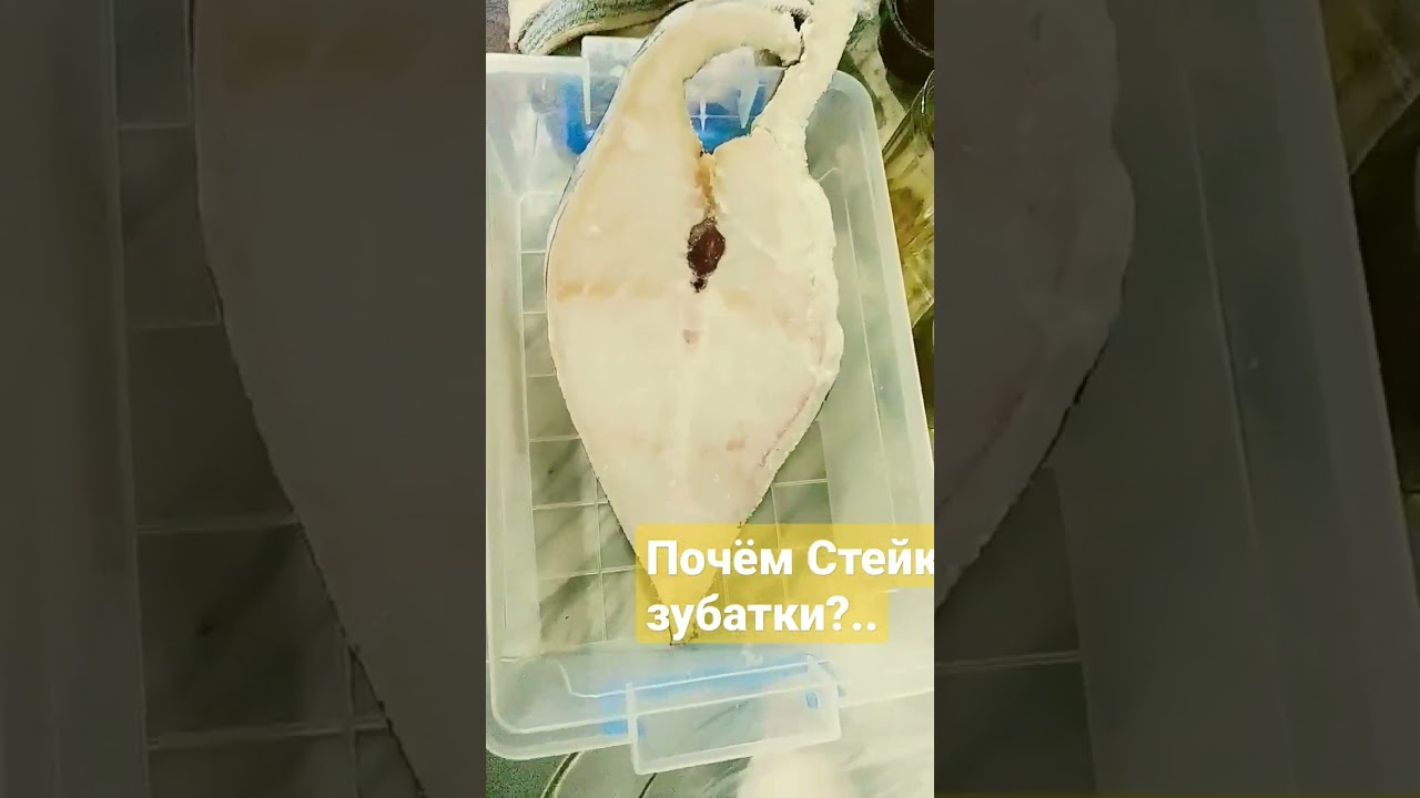 Купили рыбу /сегодня Зубатка на ужин #short #рыба #мурманск #dizzy51style