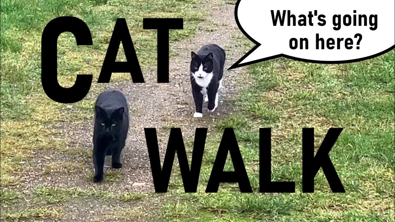 A challenging walk, with a surprising ending