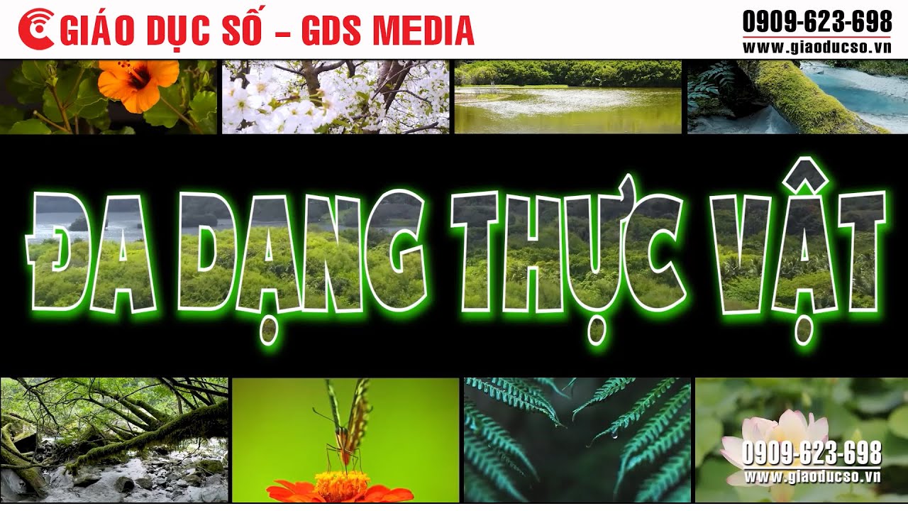Đa dạng thực vật