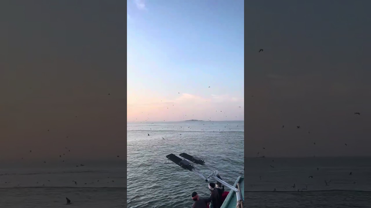 KARNATAKA,MALPE,HOW TO CATCH FISH 🐠🐟 #karnataka #fishing #malpe