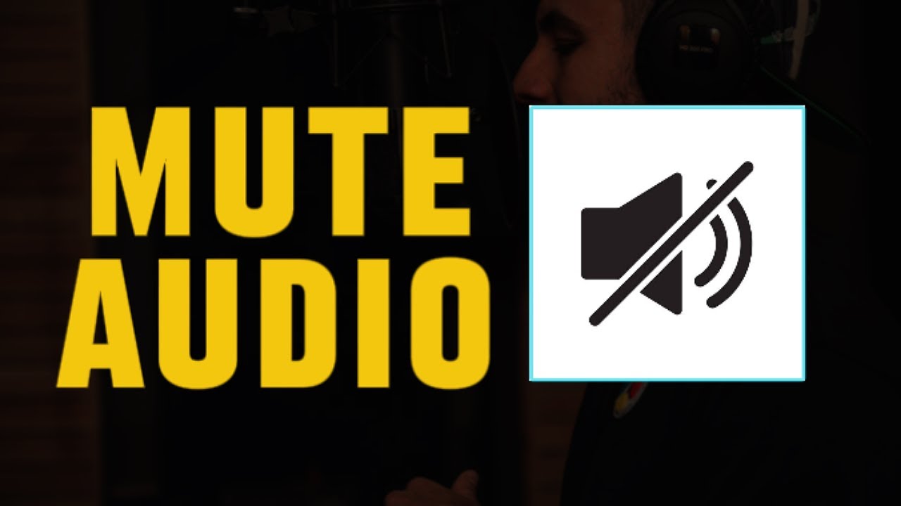 How to mute part of a video on capcut
