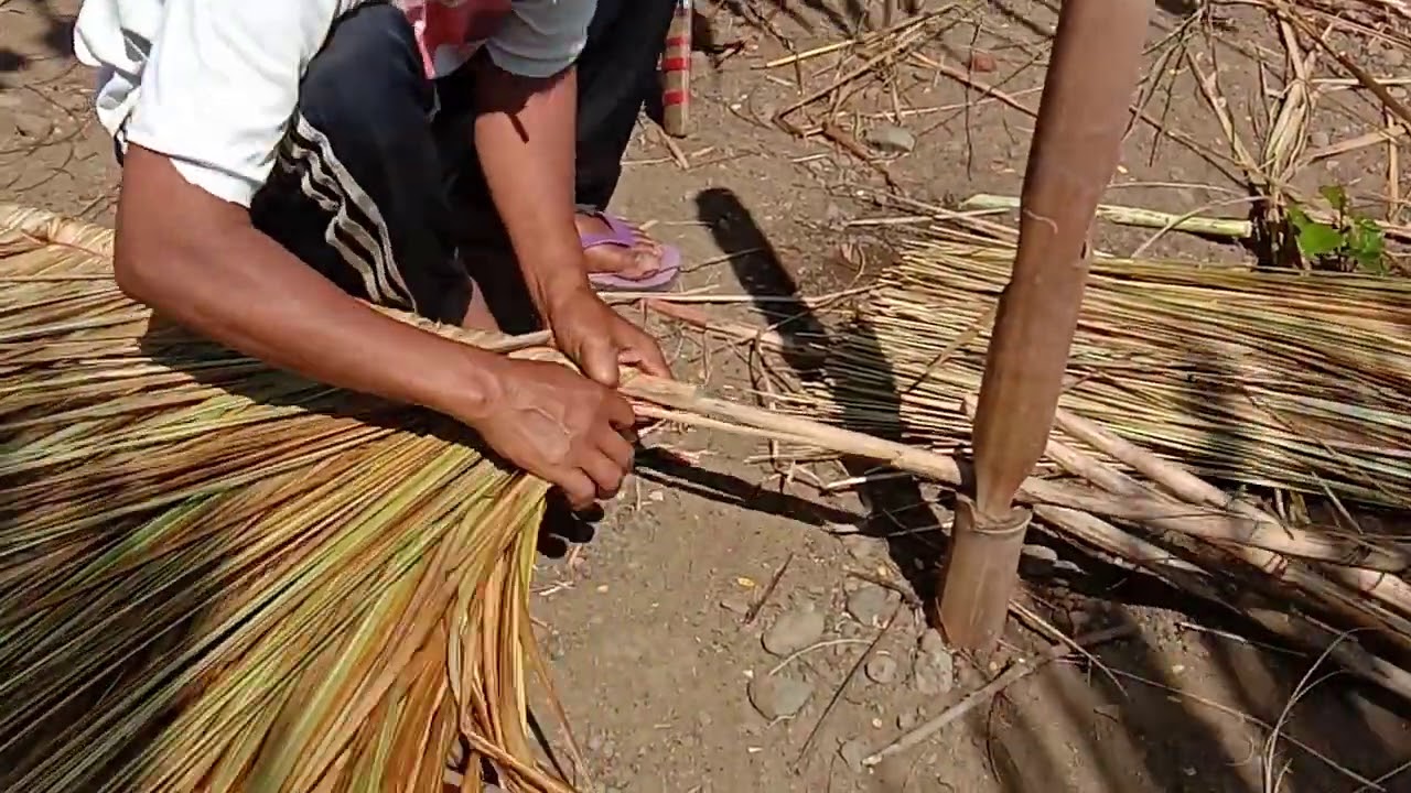 Kereenn...!! Tradisi Masyarakat dalam membuat Atap dari Ilalang.