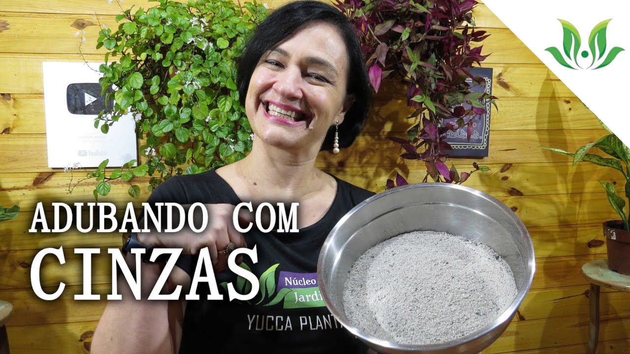 Uso da cinza nas plantas