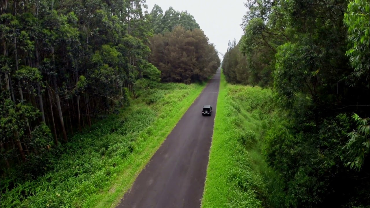 car driving down forest road aerial