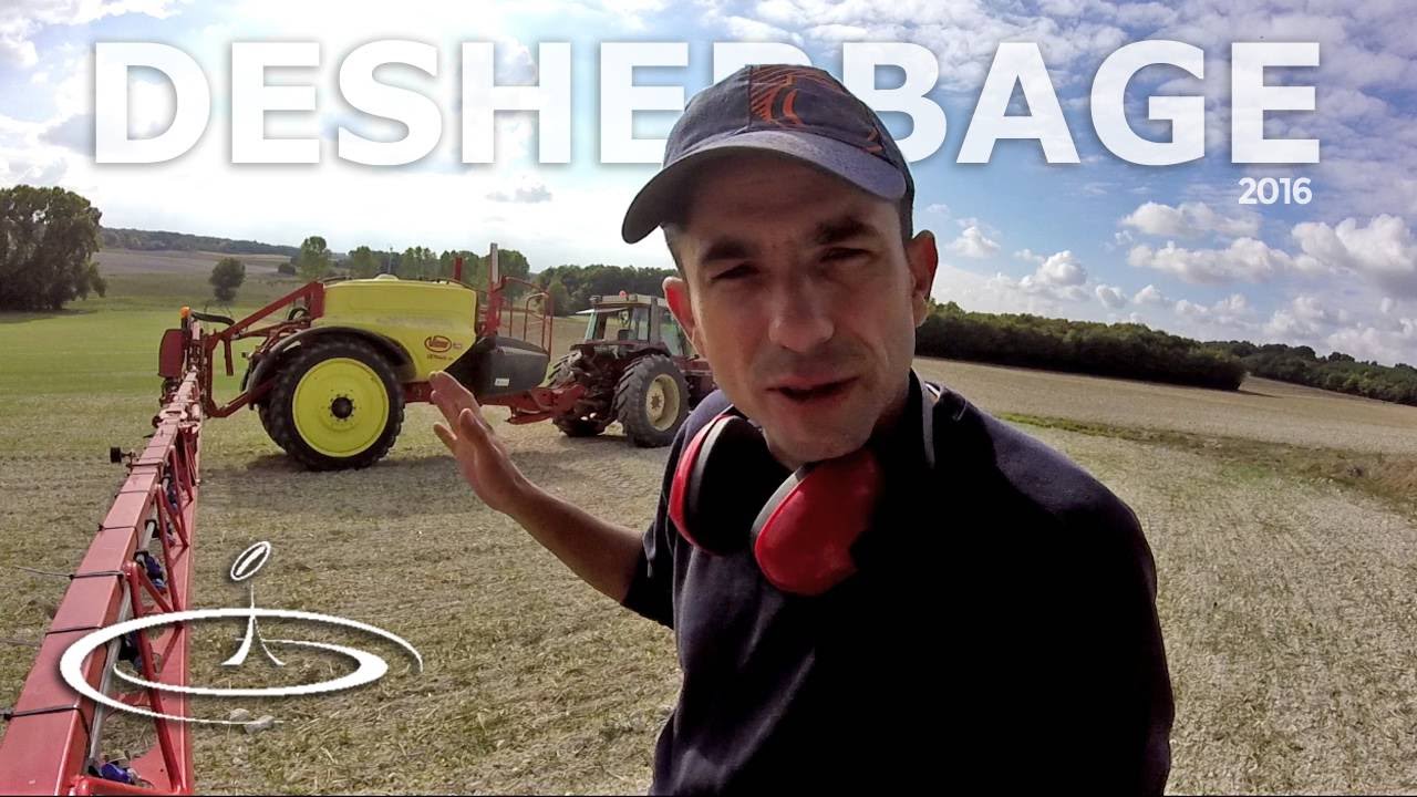 Désherbage des repousses de blé dans le colza - 2016