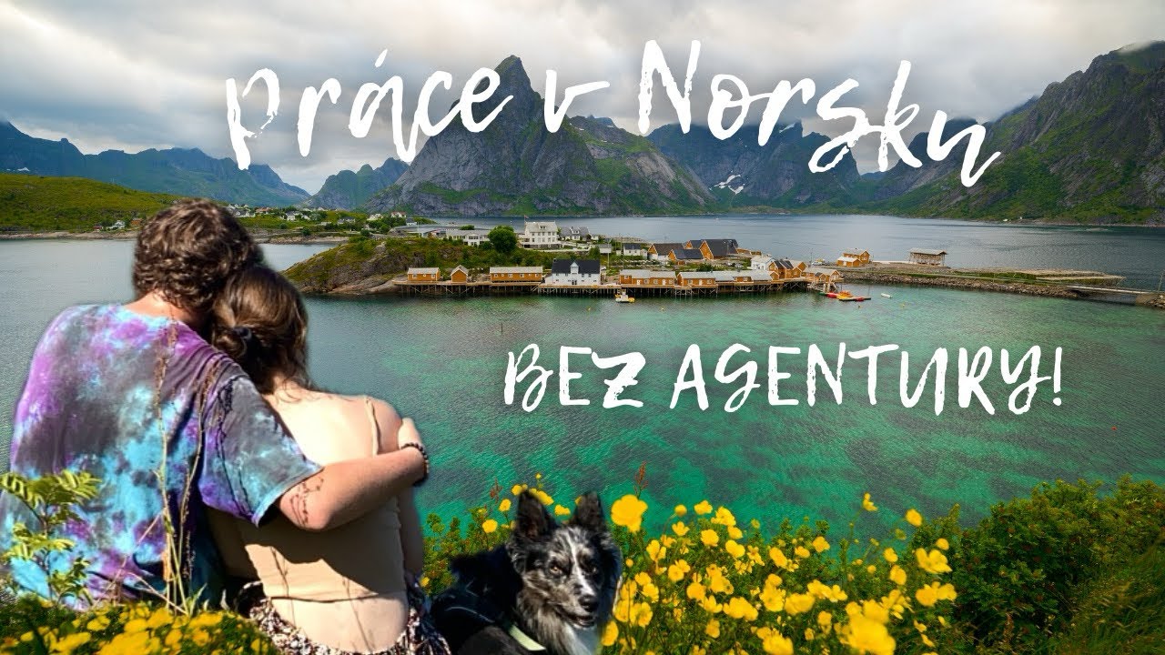 JAK NAJÍT PRÁCI V NORSKU BEZ AGENTURY?/peníze, podmínky (naše zkušenost)💼