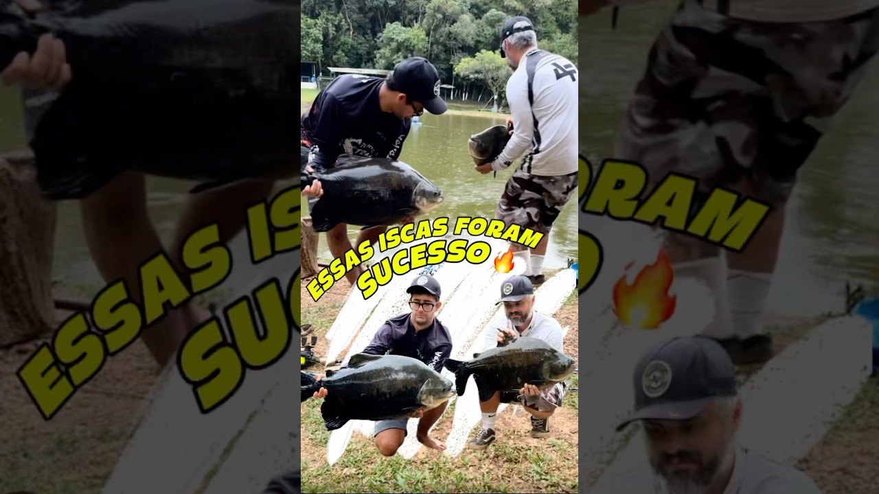 ESSAS ISCAS GARANTIRAM DUBL&Ecirc; E AT&Eacute; TRIPL&Ecirc;! @dentedatraira #fishing #peixe #tambas