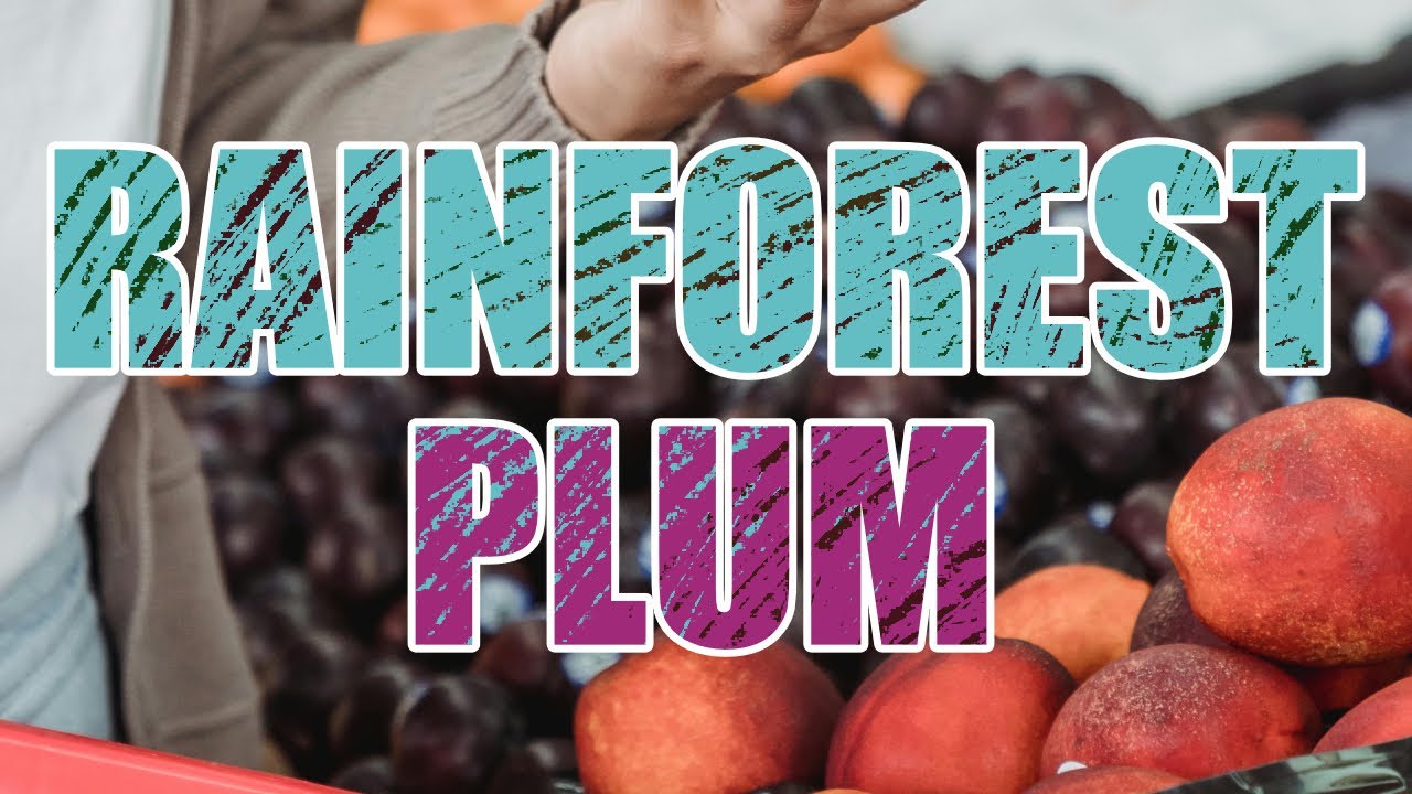 EP-54 Rainforest plum