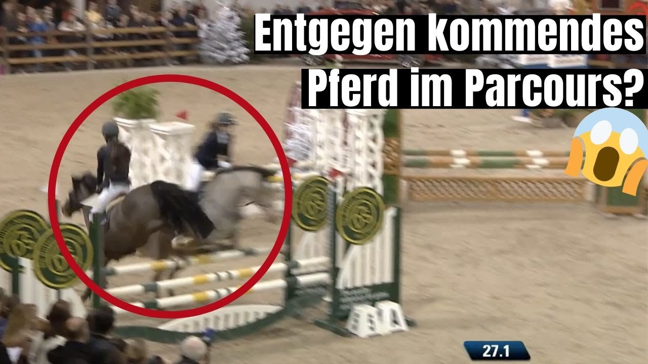 Kam euch schon mal ein Pferd im Parcours entgegen? 😱 | In Mechelen ist zum Glück alles gut gegangen!