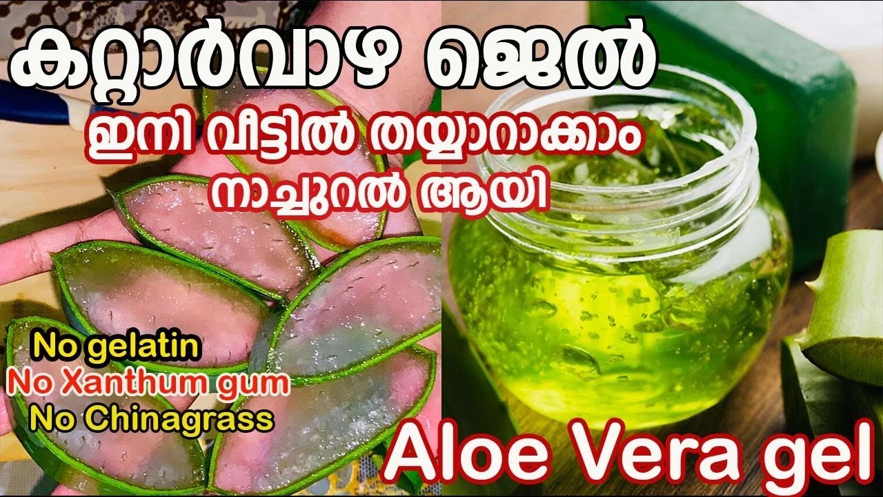 കെമിക്കൽ ഒന്നും ചേർക്കാതെ Alovera gel ഇനി  വീട്ടിൽ എളുപ്പത്തിൽ ഉണ്ടാക്കാം ||Home made Aloevera Gel