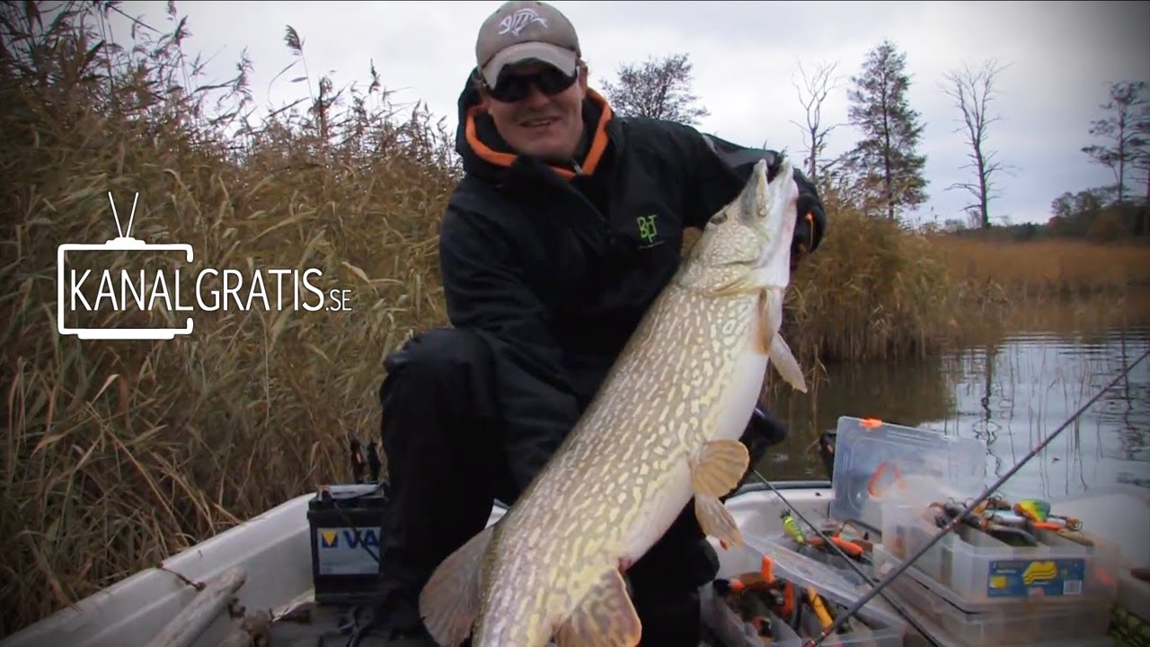 Pike 28lbs 9oz Surface Attack caught on film