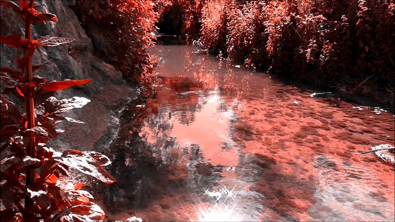 Relaxation - Ruissellement de l'eau - Rivi&egrave;re Paisible