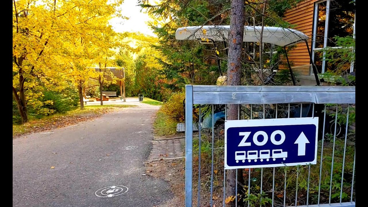 Zoo sauvage de Saint Félicien - Quebec's Wild Animal Park Canada