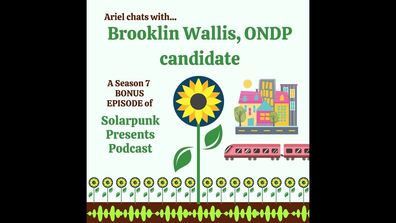Bonus Episode: Ariel chats with Brooklin Wallis, ONDP candidate