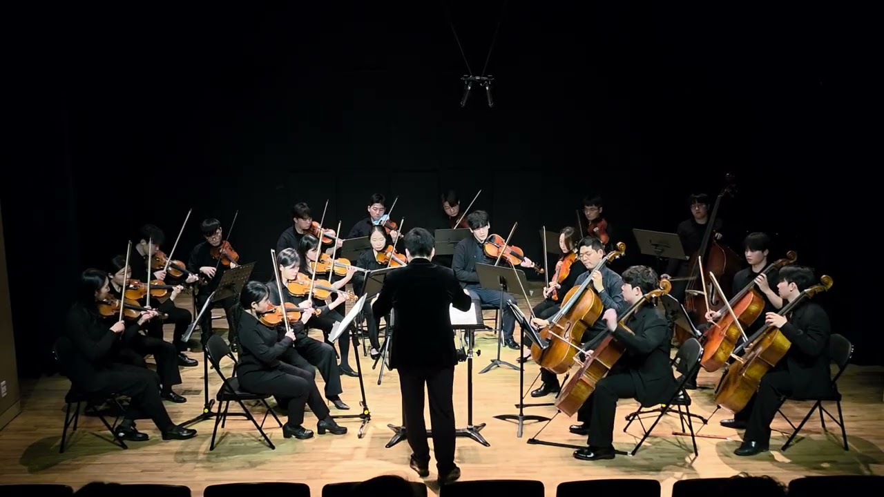 P.Tchaikovsky - Serenade for Strings Op.48 (2nd mov)