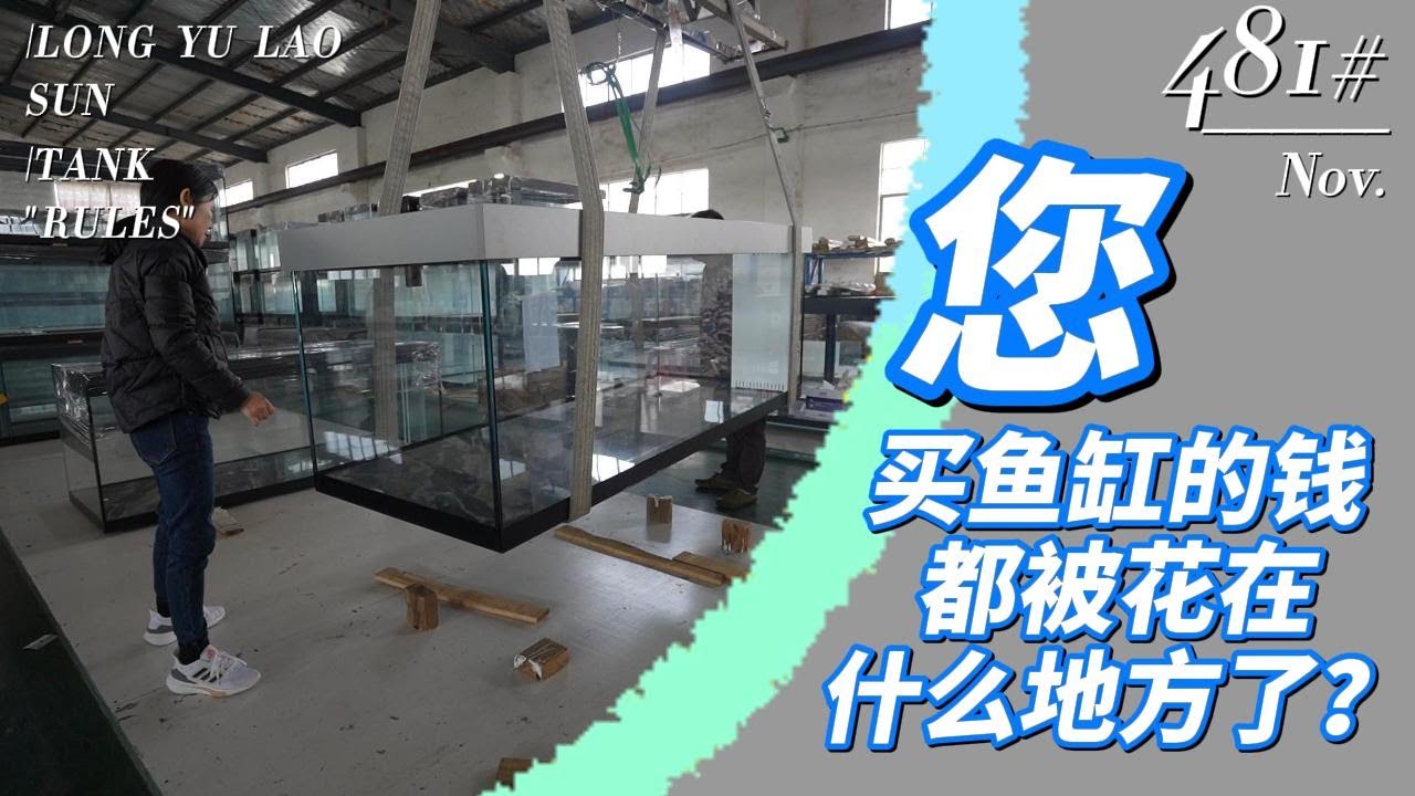 #481 您买鱼缸的钱被花在什么地方了？