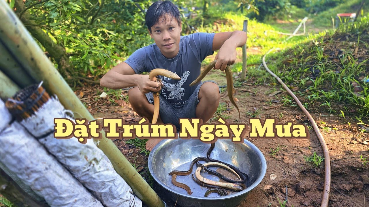 Đặt Trúm Lươn Sau Cơn Mưa Dầm Trúng Đậm |Cần TV 13#