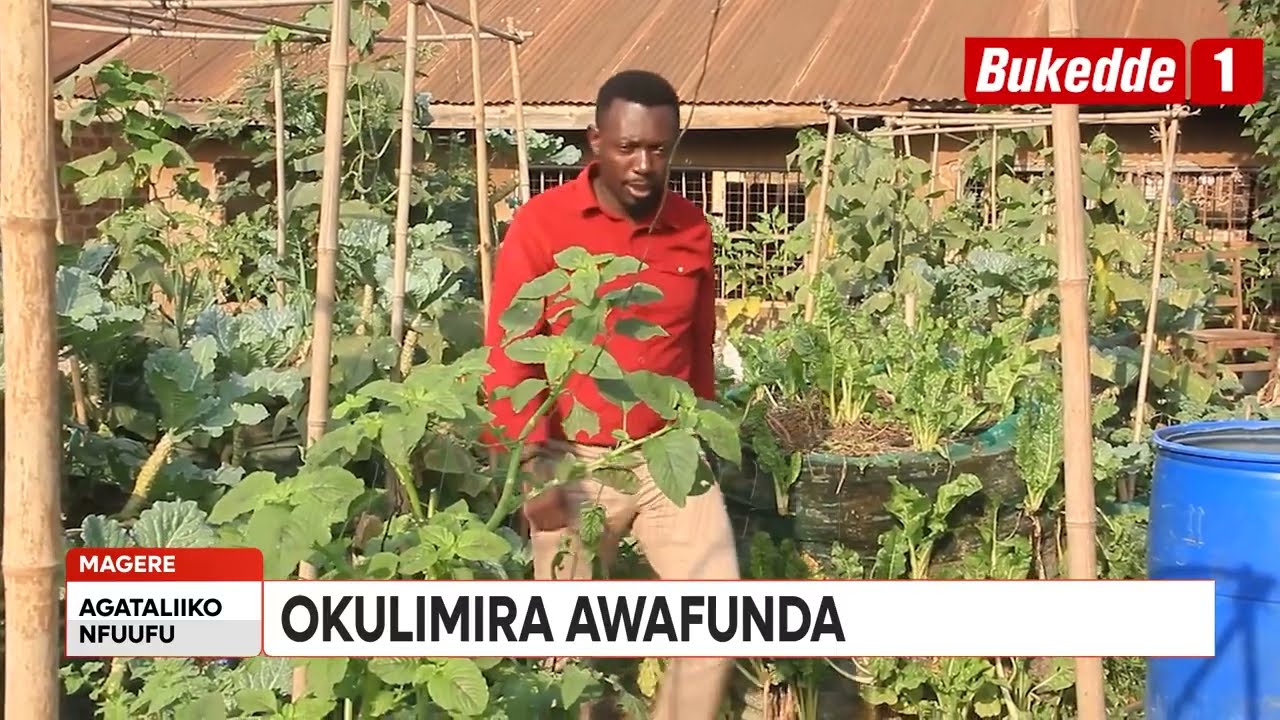 Agataliikonfuufu:Okulimira enva endiirwa awafunda  Jabgu mu mwoleso gwa Harvest Money e Kololo oyige