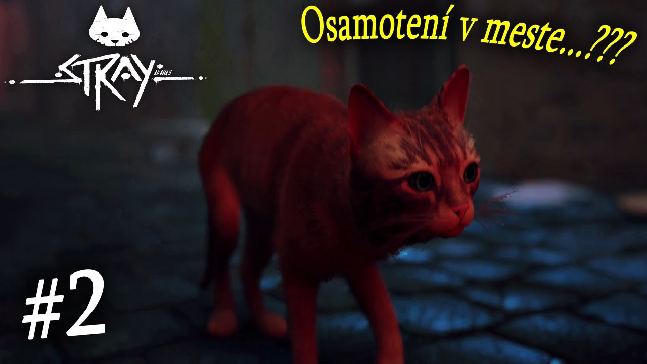 Stray #2 Mŕtve mesto