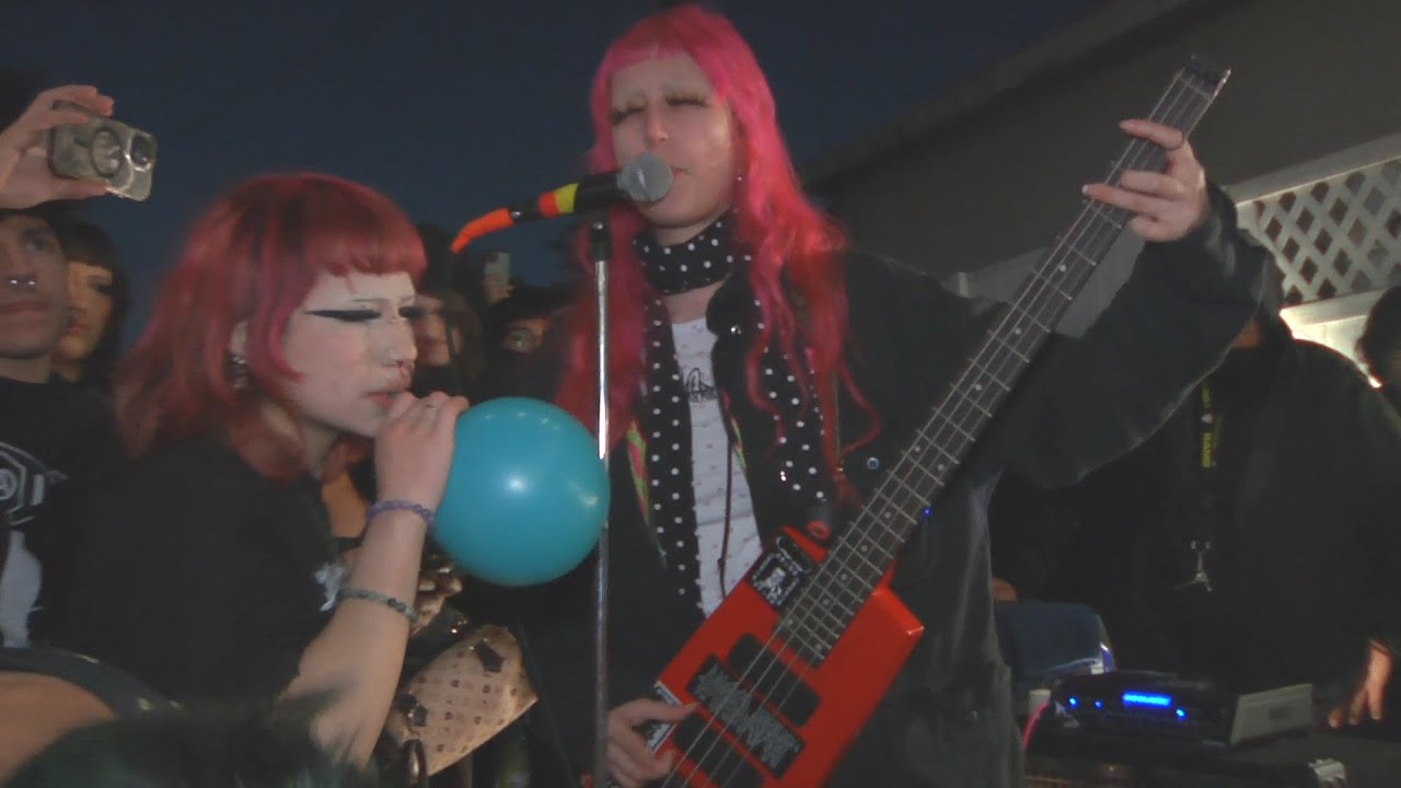 puppy playtime live @ a los angeles backyard 1/31/25