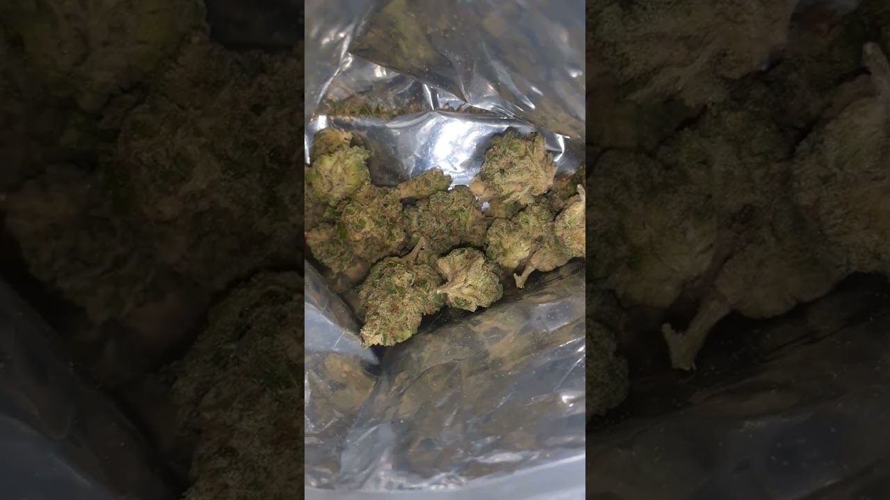 jet fuel gelato t23 pure sunfarms UK medical cannabis