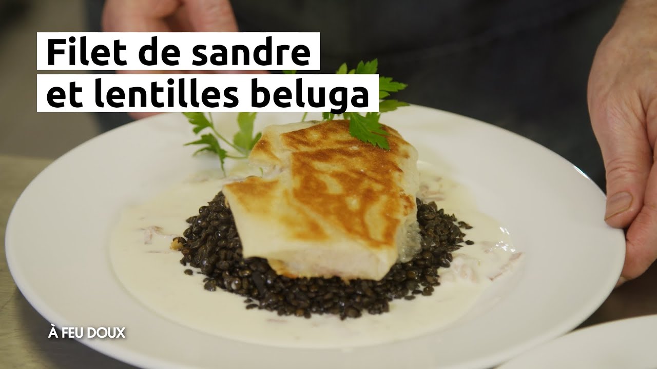 Filet de sandre à la Lorraine, lentilles beluga