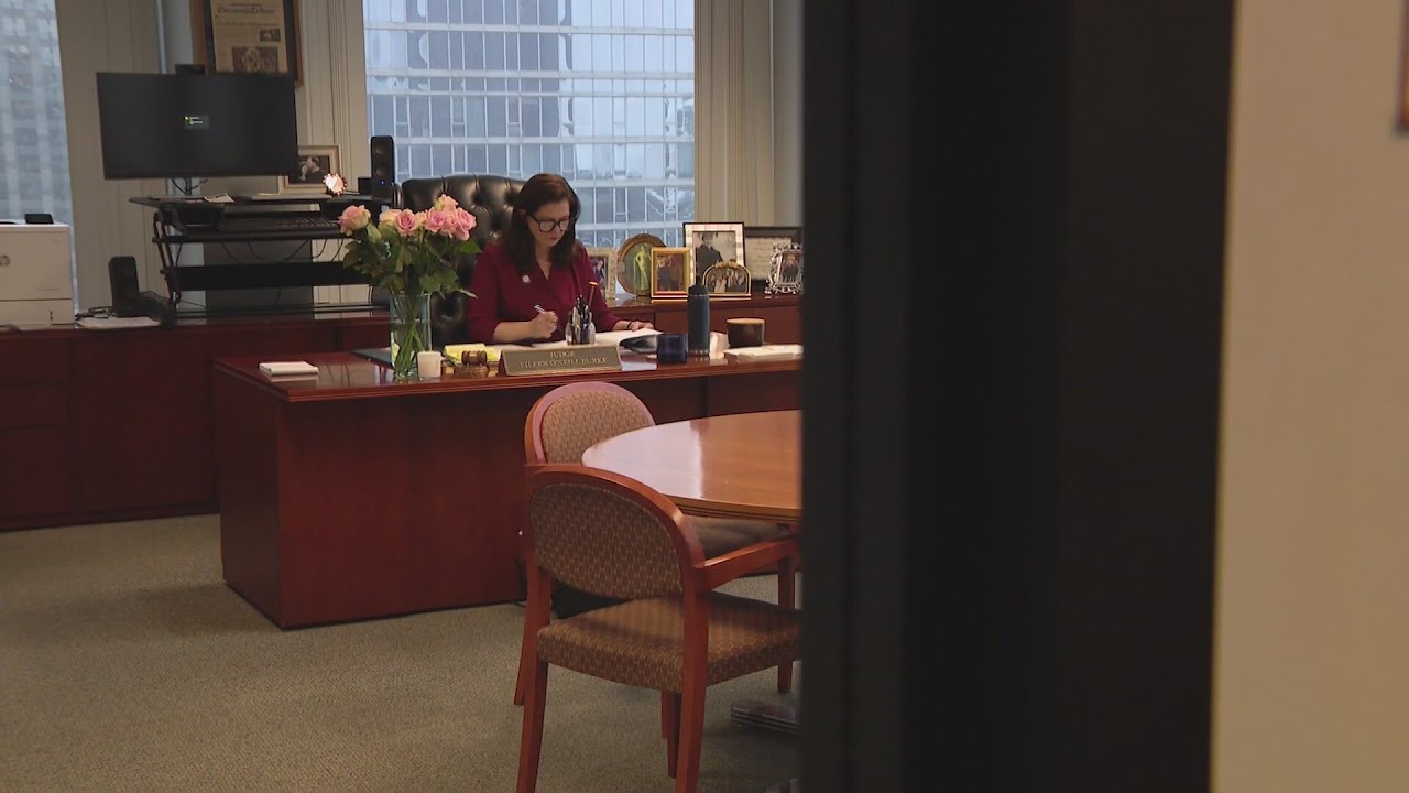 Cook County State's Attorney Eileen O'Neill Burke reflects on first year in office