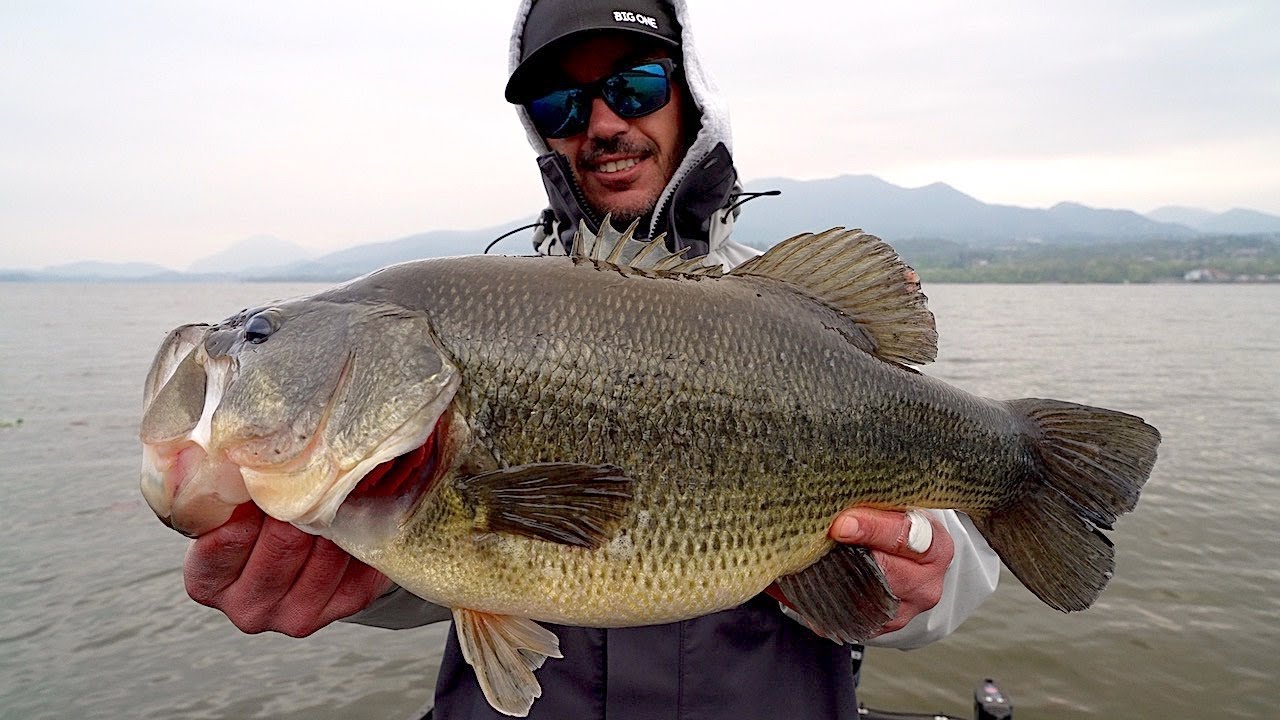 Una GIORNATA MIRACOLOSA - 11,2 Kg di Pesata in 5 ORE