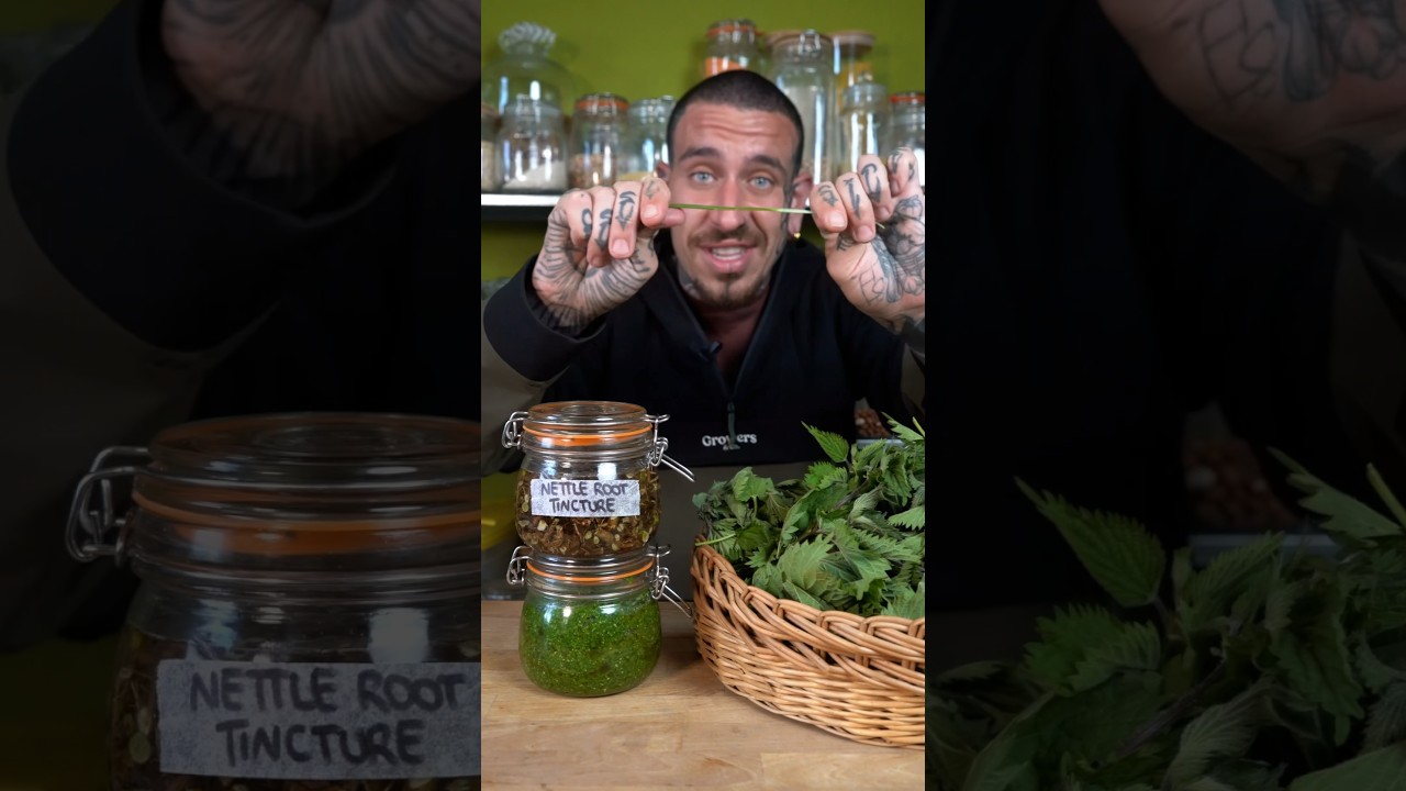 ASMR zero waste stinging nettles #shorts #asmr #nettle