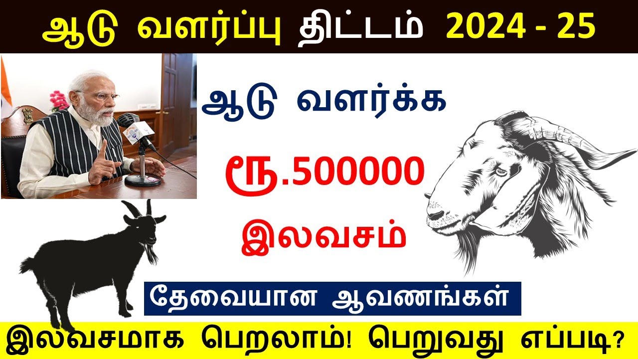 இலவச ஆடு வளர்க்க ரூ.500000 இலவசம் | Central Government Free Goat scheme 2024 |Goat subsidy scheme