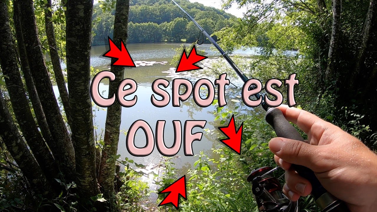 Les Blackbass sont de sortie - Pêche créature et worm en Wacky - L'ouverture 2019