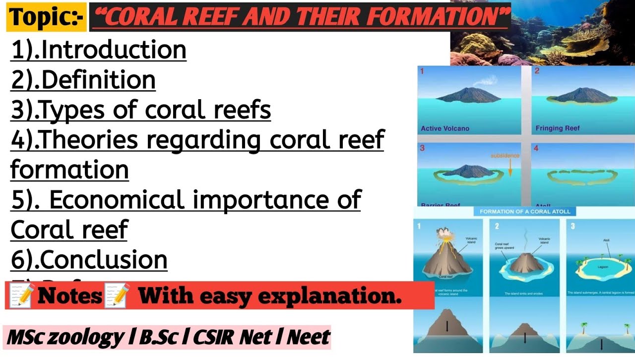 Coral Reef and their formation | Coral Reef | Economical Importantce of Coral Reef