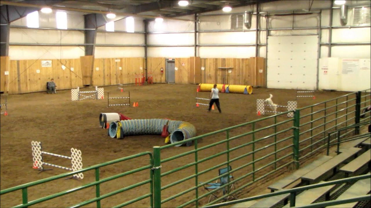 AAC AGILITY TRIAL