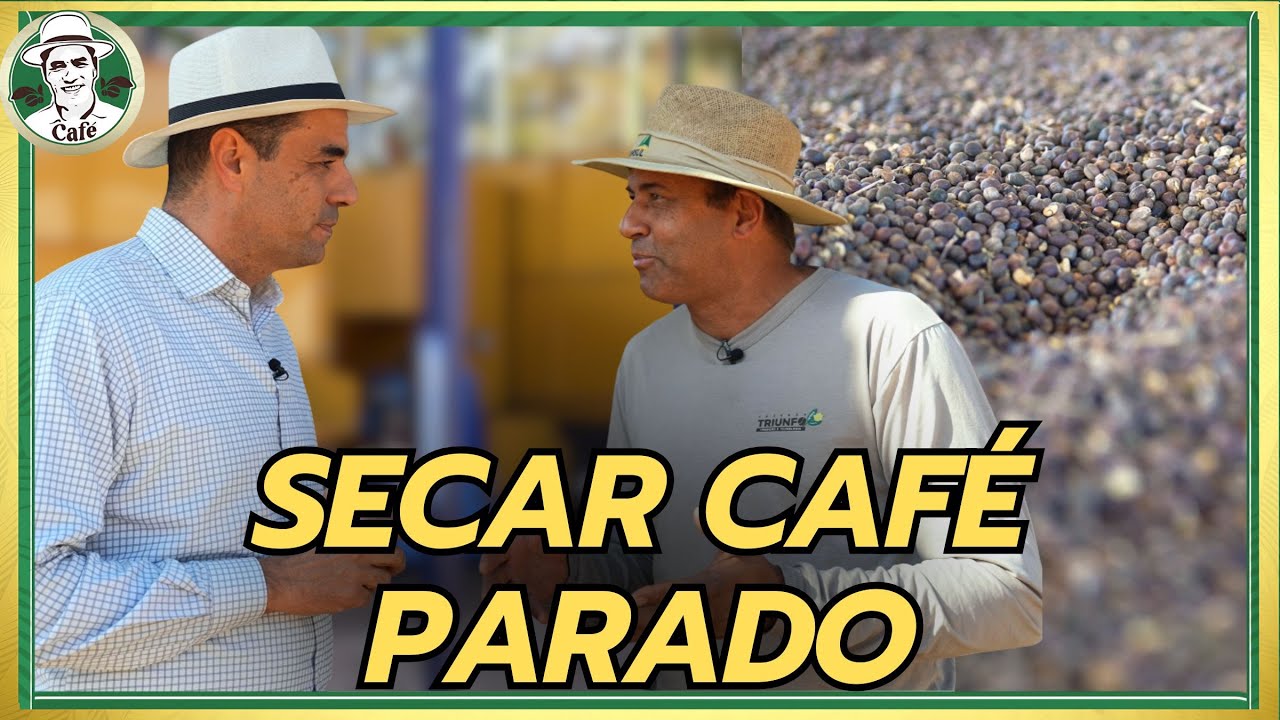 SECAGEM DO CAFÉ: A MELHOR E MAIS EFICIENTE TÉCNICA.