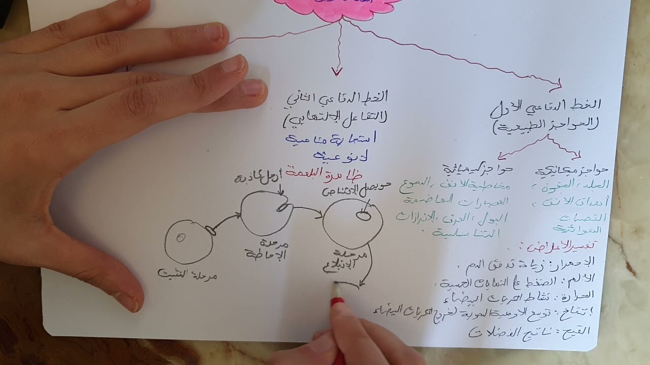 كل مايخص المناعة سنة رابعة متوسط