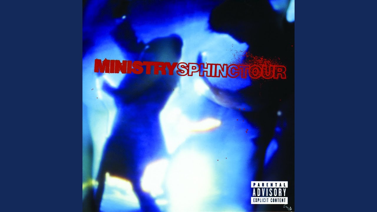 Scarecrow (Live in Venice)