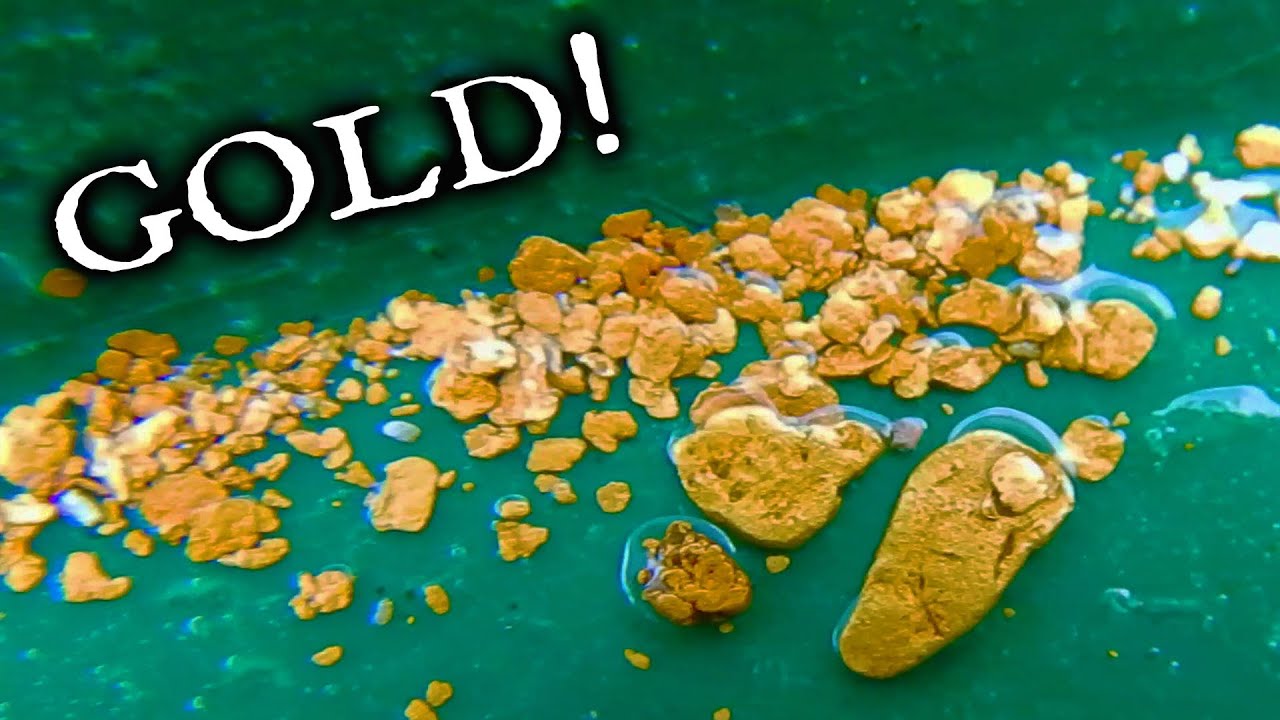 Finding gold on the Fraser River!